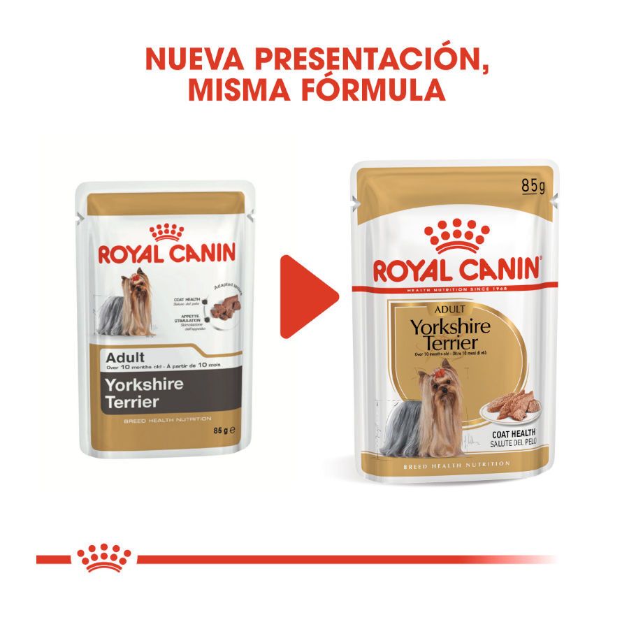 85 g Royal Canin Yorkshire Terrier sobre para perros , , large Imagen numero 3